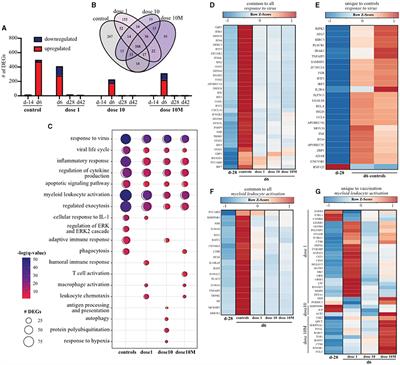 VSV-EBOV Induces Temporal and Dose-Dependent Transcriptional Responses in Non-human Primates